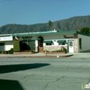 Alandale Insurance Agency - Insurance