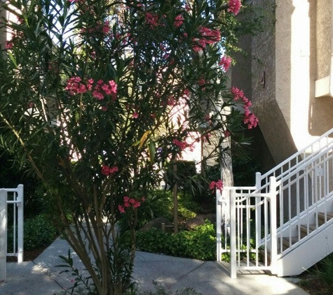 Residence Inn by Marriott San Jose Campbell - Campbell, CA