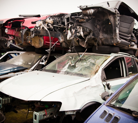 Junk Car Dog - Fort Lauderdale, FL