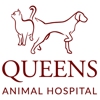 Queens Animal Hospital gallery