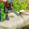 Willow Tree Services gallery