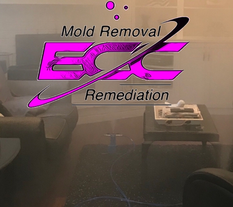 ECC Mold Removal & Remediation of Hanover Park / Bloomingdale - Hanover Park, IL