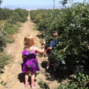 Tabitha Max Blueberry Farm - Farms