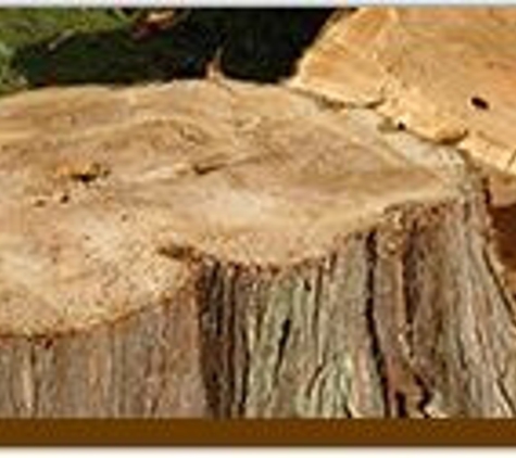 Homestead Tree Experts Inc - Springfield, VA