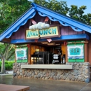 Avalunch - Take Out Restaurants