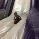 BounceU