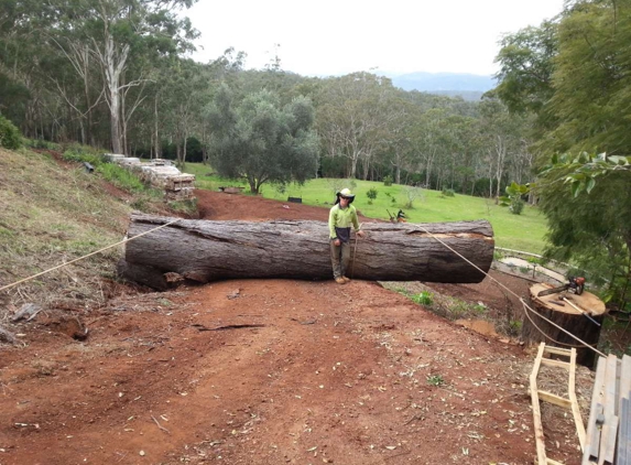 Treebiz Tree Services