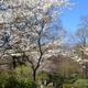 Locust Valley Cemetery