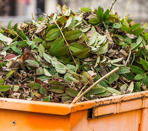 Tassie Waste - Romaine, TAS