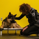 Precision Dog Training Academy