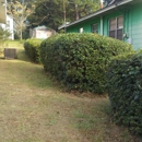 Mills Lawn Service