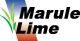 Marule Lime - Lime