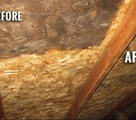 ASD WaterWorks L.L.C. - Dearborn Heights, MI. Attic Mold