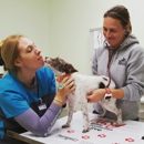 Lowrys Animal Hospital - Veterinary Clinics & Hospitals