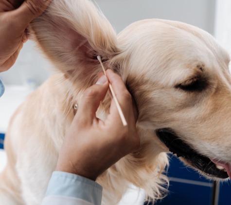 Central Veterinary Clinic & Hospital - Tarneit, VIC