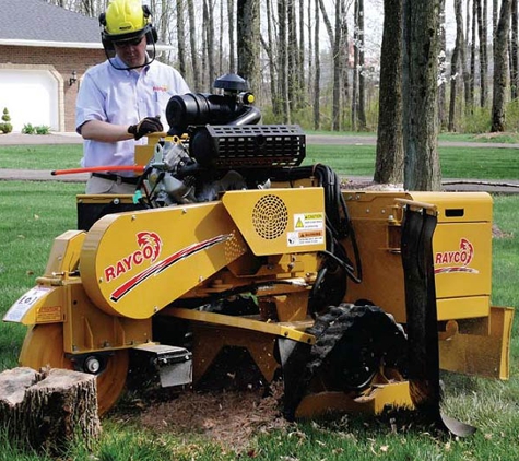 Total Tree Management - Kingston, TAS