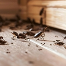 MDM Pest & Termite Control - Pest Control Equipment & Supplies