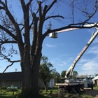 Zielinski Tree Service