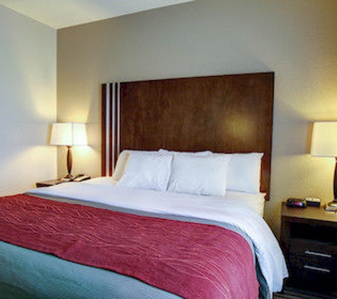 Comfort Inn & Suites - Navasota, TX