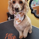 Dog Life Salon and Resort LLC - Pet Grooming
