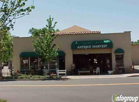 Antique Harvest - Healdsburg, CA