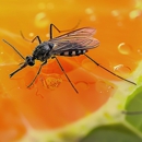 Be There Pest Control - Pest Control Equipment & Supplies