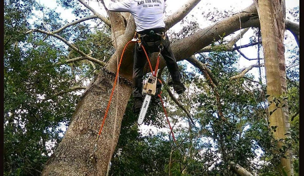 Kats Tree Service - Edgewater, FL