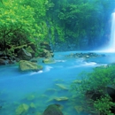 B&C Costa Rica Adventures - Travel Agencies