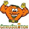CitruSolution Carpet Cleaning gallery