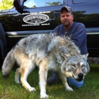 Green Creek Taxidermy