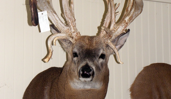 Sportmaster Taxidermy - Chatsworth, GA