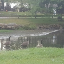 Wampus Pond Park - Parks