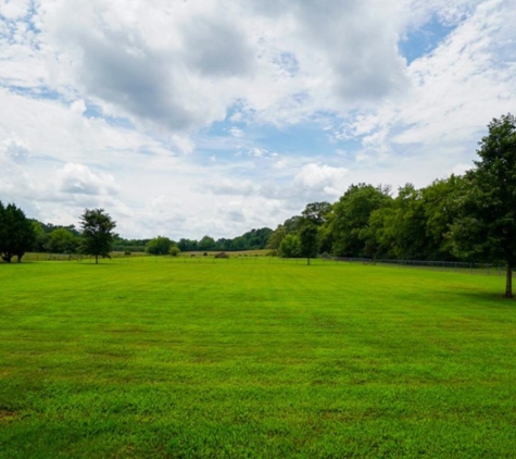 Labby Lane Kennel - Harrison, TN