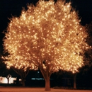 Christmas Decor - Holiday Lights & Decorations