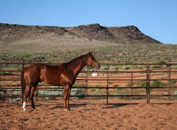 Lava Bluffs Equestrian Center - Saint George, UT