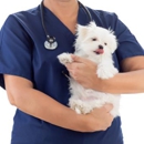 Healthy Paws Veterinary Medical Center - Veterinary Clinics & Hospitals