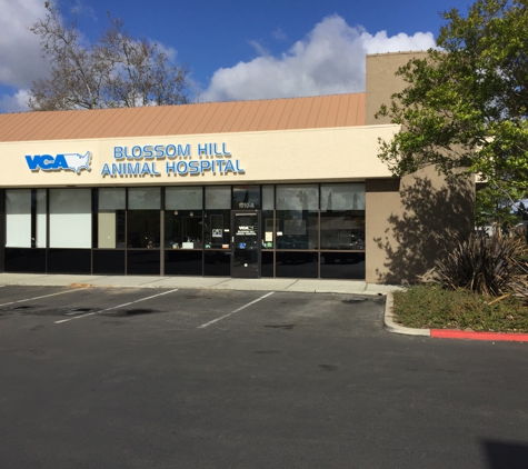 VCA Blossom Hill Animal Hospital - San Jose, CA