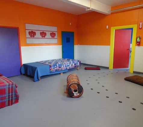 Woofs & Wiggles Dog Daycare & Boarding - Redwood City, CA