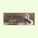 The Body Whisperer - Massage Therapists