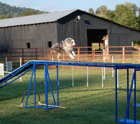 EMMCO SPORT Dog Agility Equipment - Winston Salem, NC