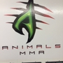 Animals MMA