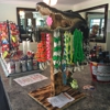 Jerry's Gator Lagoon gallery