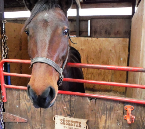 Masconette Farm - Horse Boarding - Carriage Driving - East Longmeadow, MA