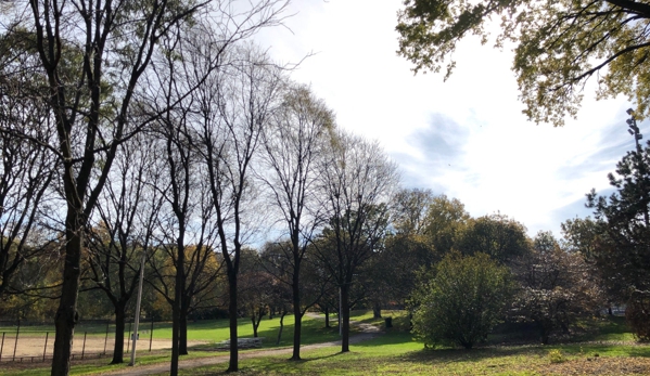 Gompers Park - Chicago, IL