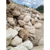 Gallery Image Number 5