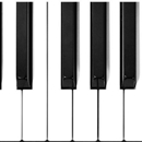 Henson, David - Pianos & Organ-Tuning, Repair & Restoration