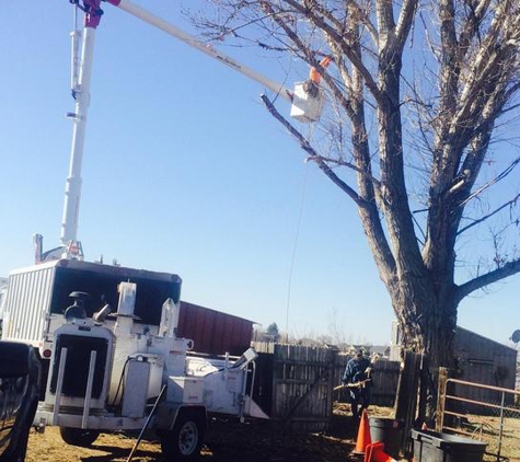 Ernestos  Tree Service - West Haven, UT