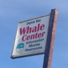 Whale Watching in Depoe Bay gallery