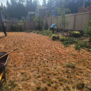 Ayala Landscapes Construction - Spanaway, WA