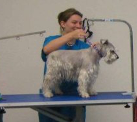 Blue Collar Pet Salon & Self Service - Bremerton, WA